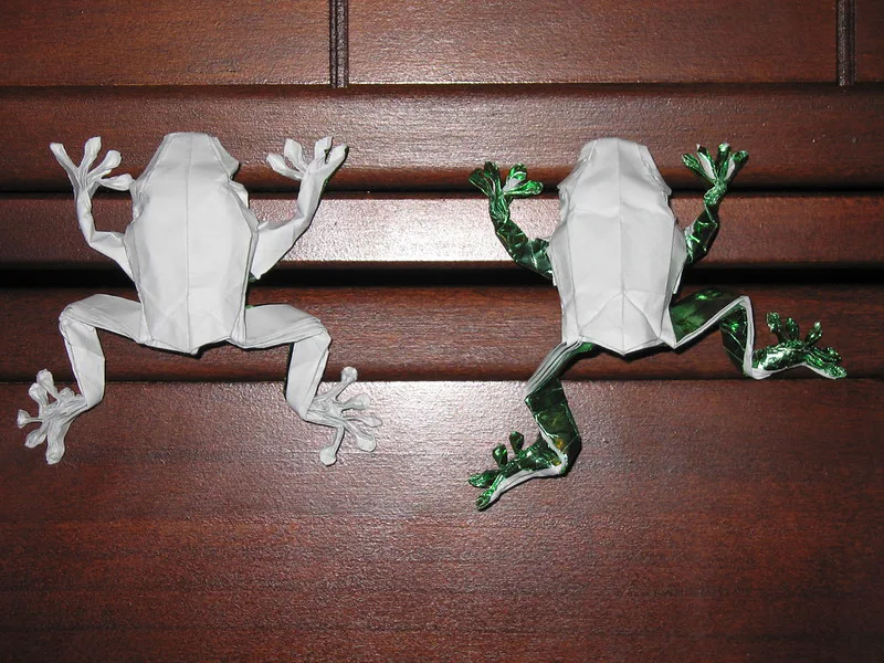 Frog
