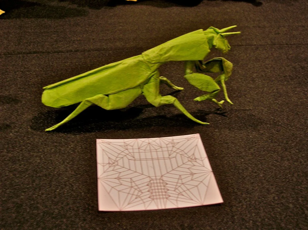 Mantis