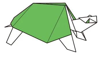 Turtle