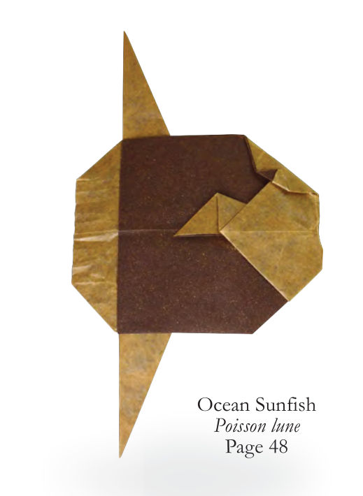 Ocean sunfish