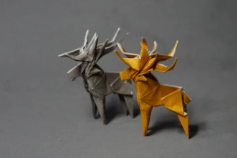Deer