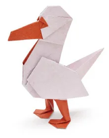 Seagull