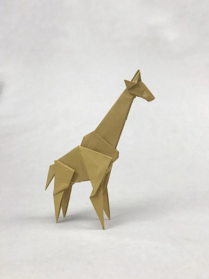 Giraffe