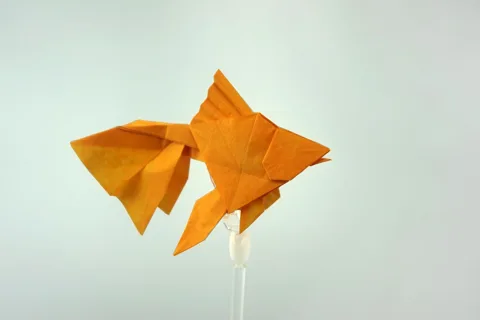Goldfish