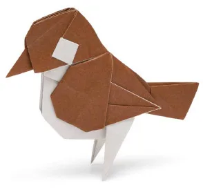 Sparrow