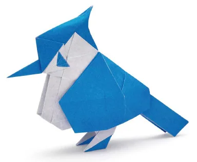 Blue jay