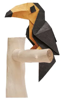 Toucan