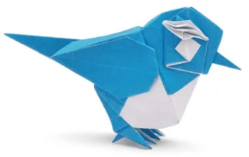 Ultramarine flycatcher