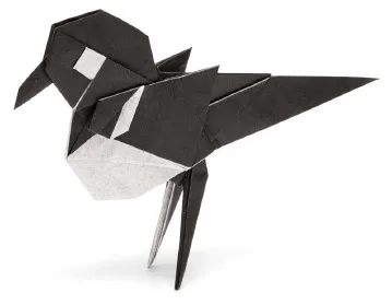 Magpie