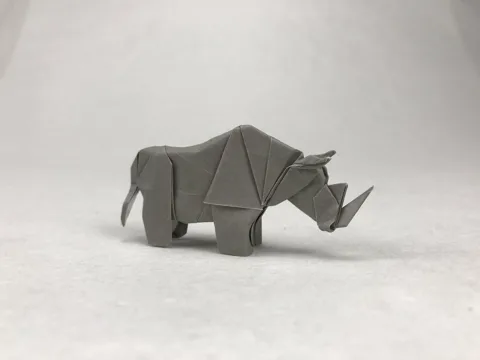 Rhino