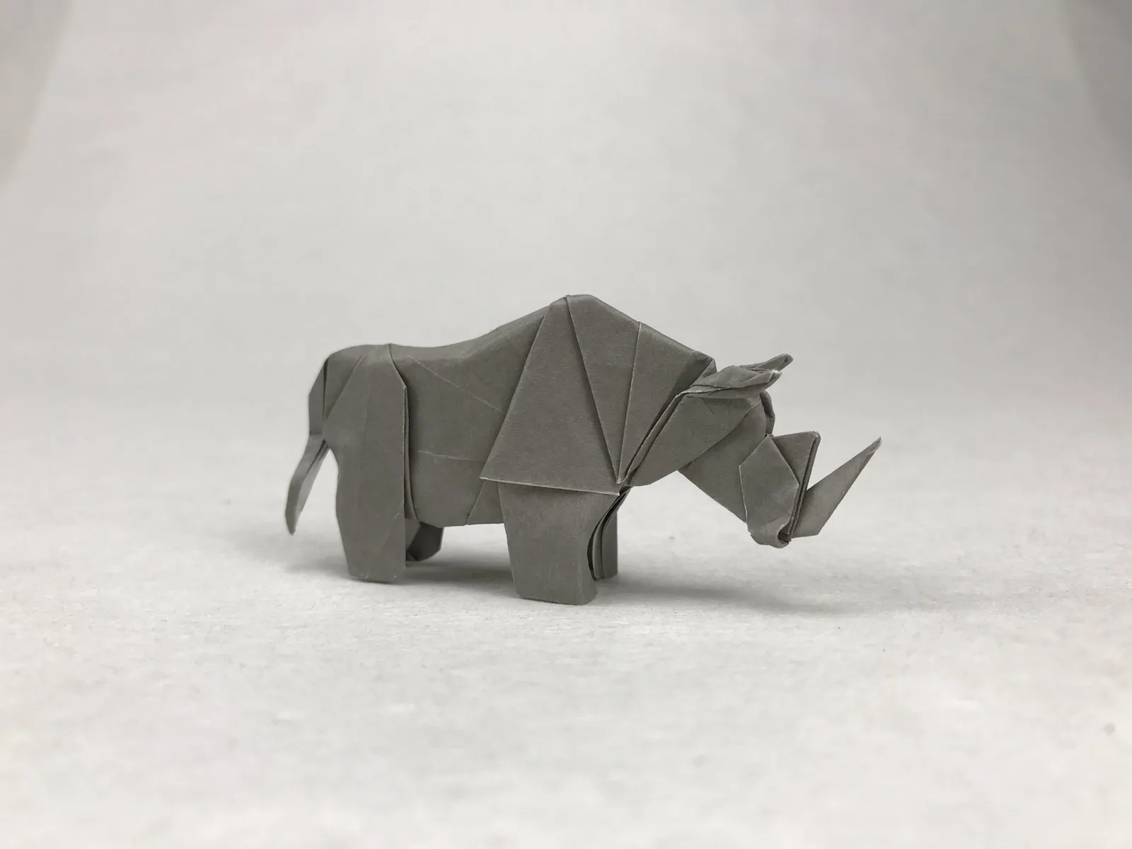 Rhino