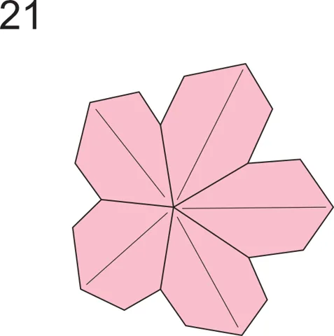 Sakura Blossom