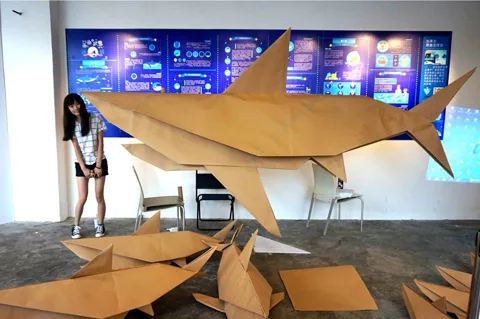 Shark