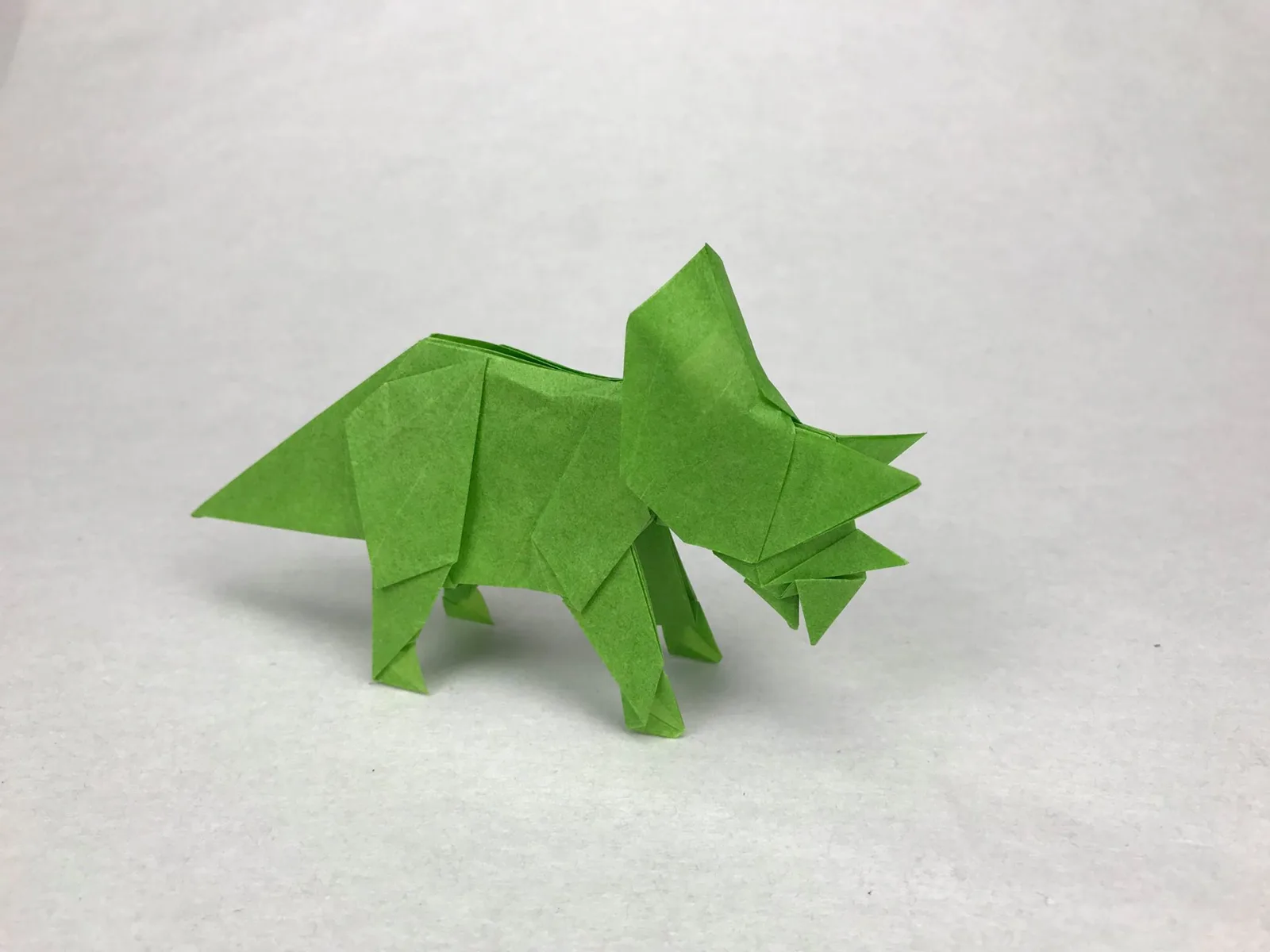 Triceratops