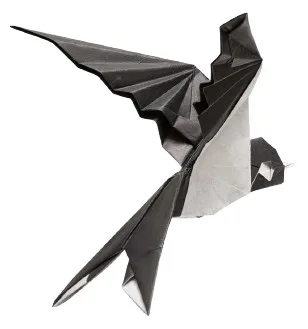 Swallow