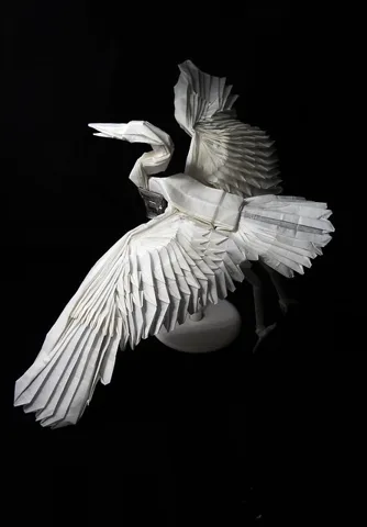 Crane