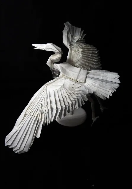 Crane