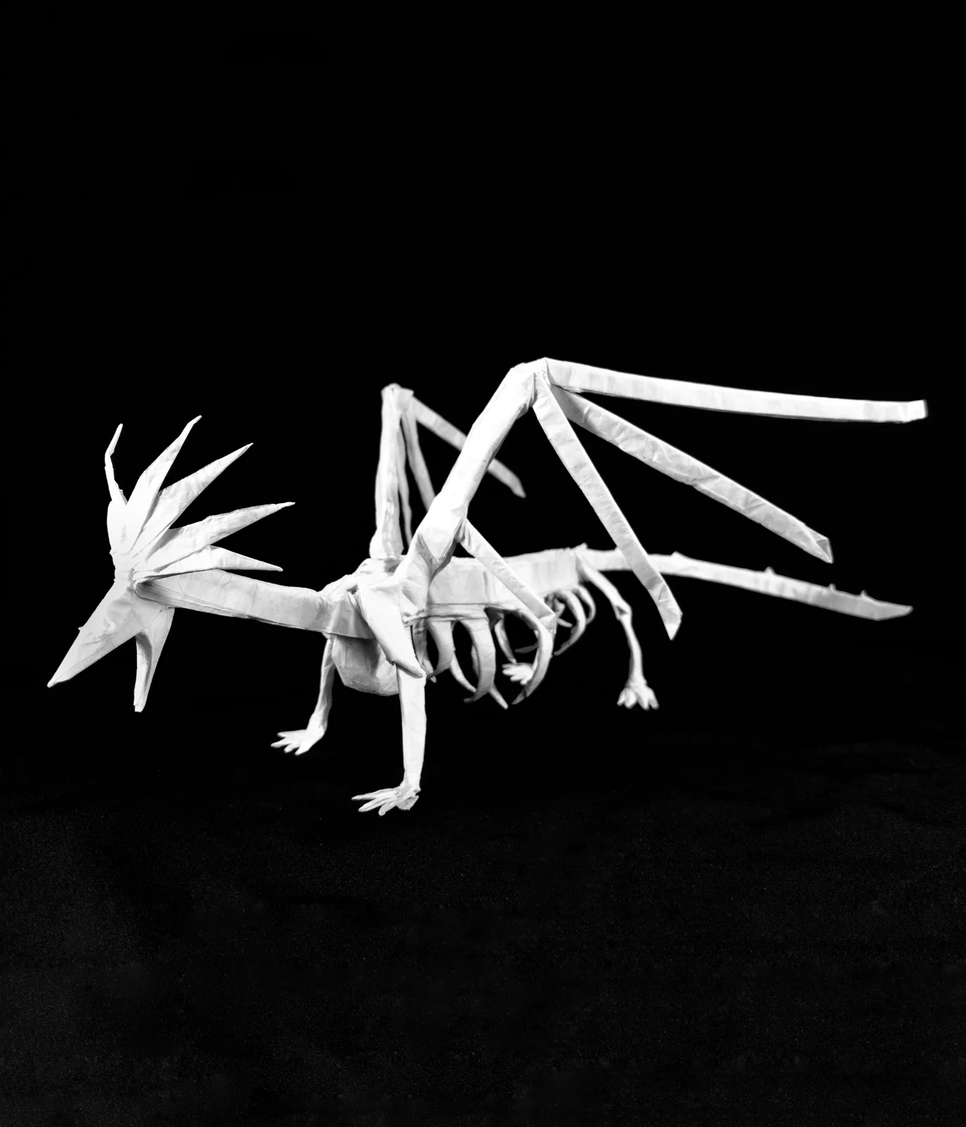 AD Skeleton