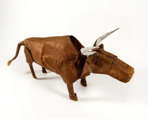 Bull