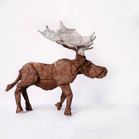Moose