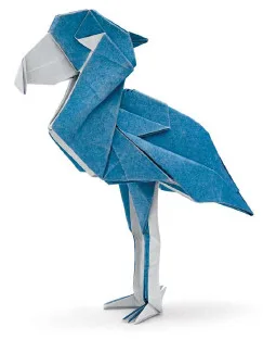 Shoebill