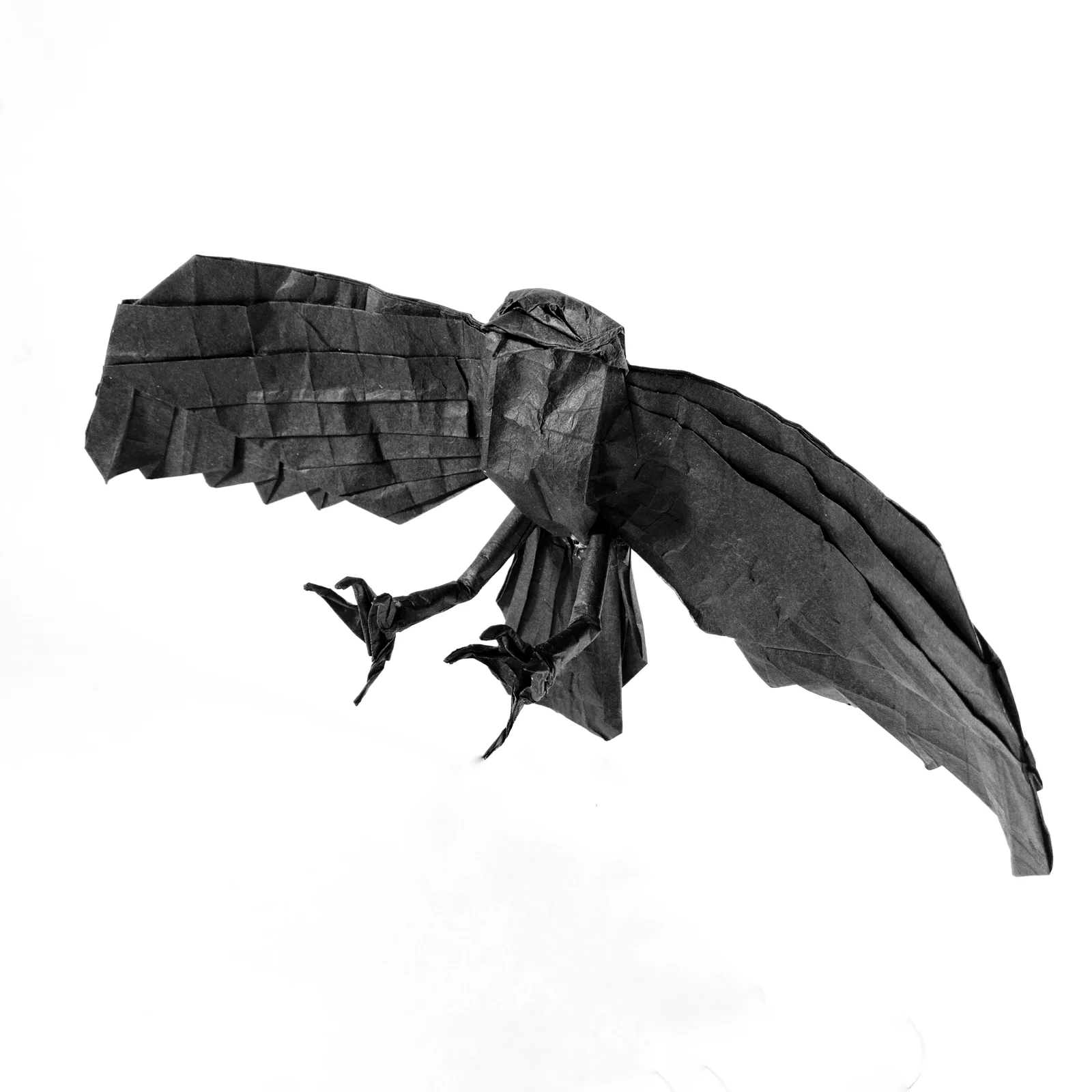 Raven