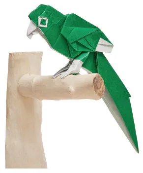 Parrot