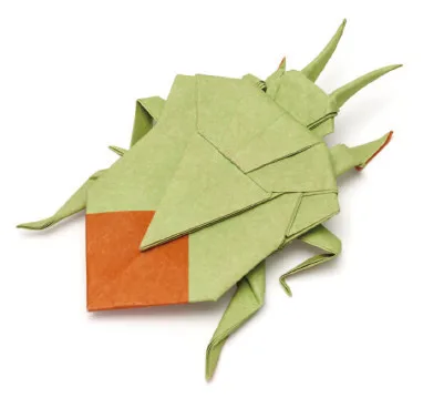 Shieldbug