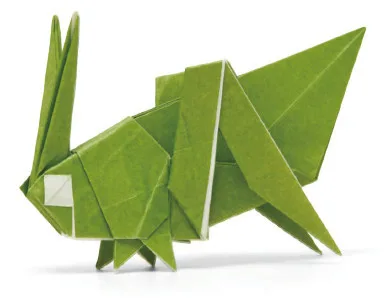 Katydid