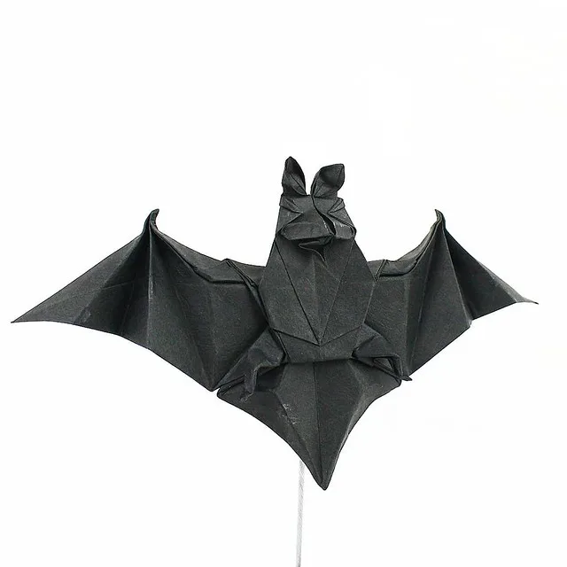 Bat