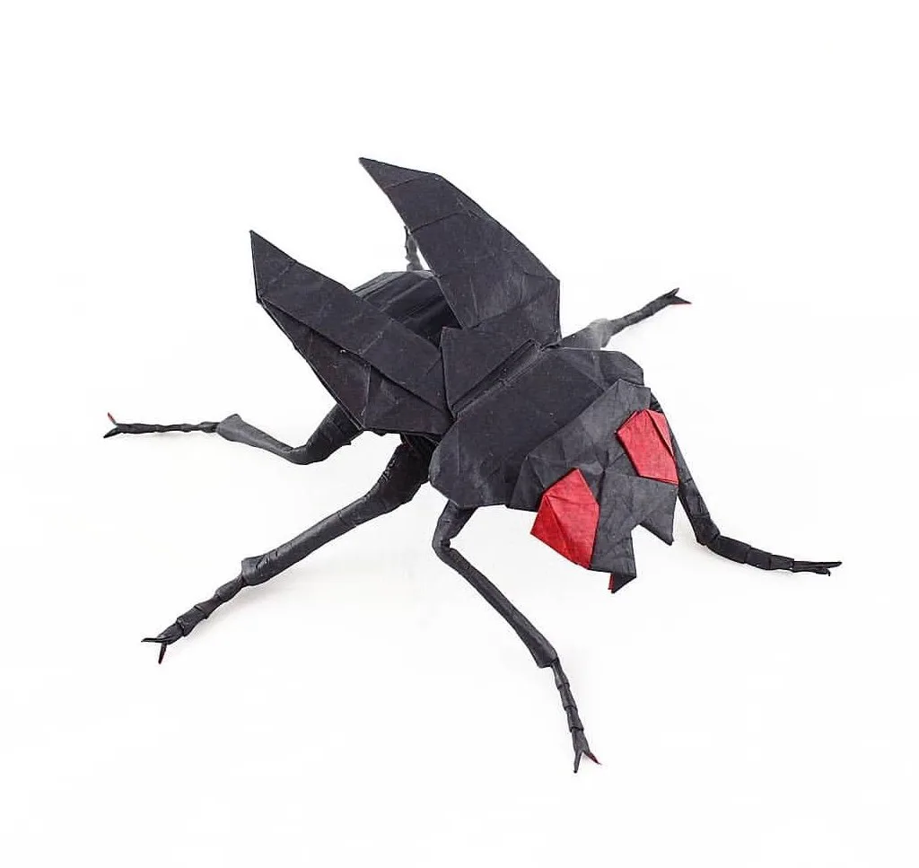 Fly