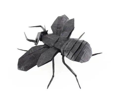 Flying Ant