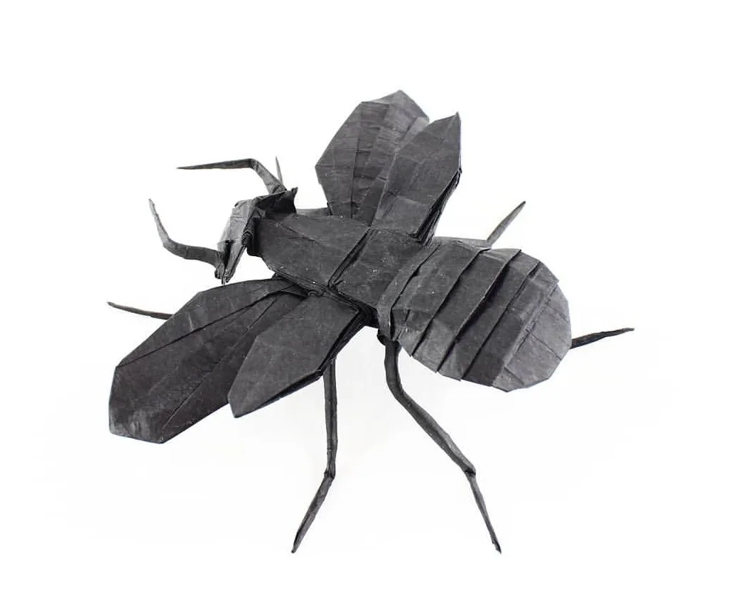 Flying Ant