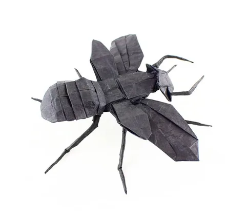Flying Ant