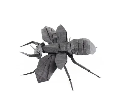 Flying Ant