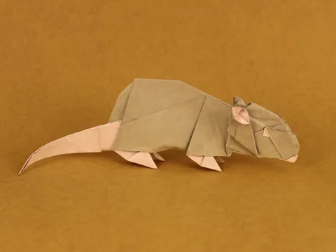 Rat