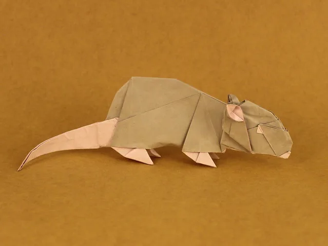 Rat