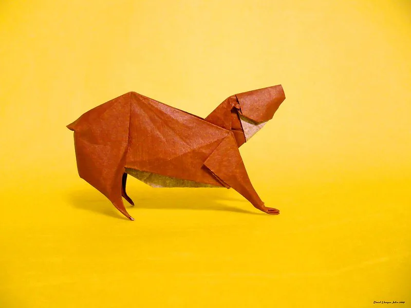 Capybara