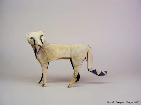 Cheetah