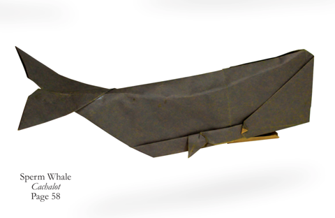 Sperm whale