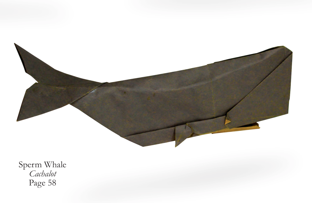 Sperm whale