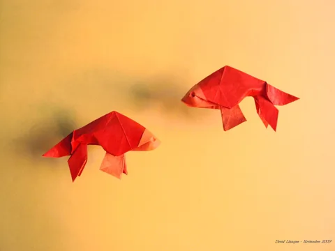 Goldfish