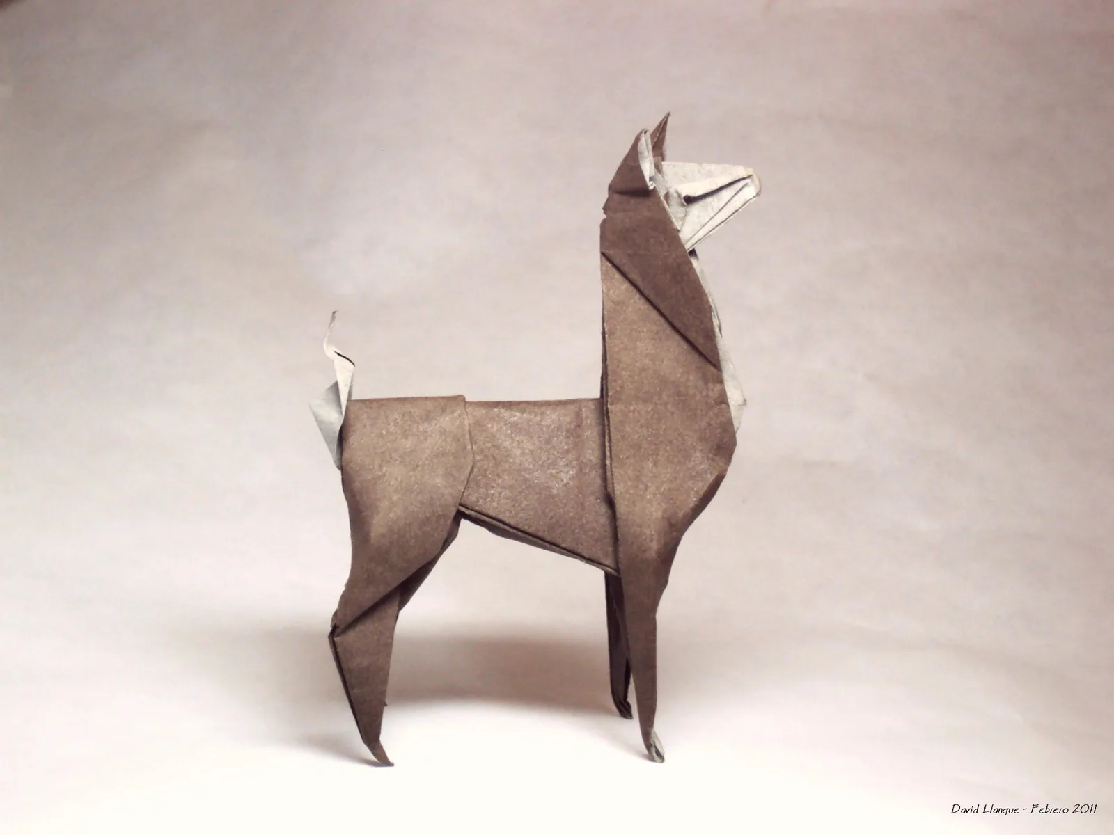Llama