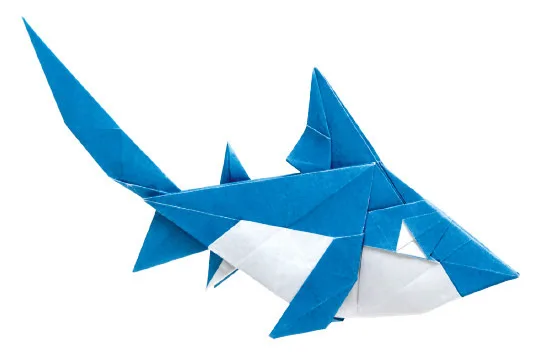 Thresher shark