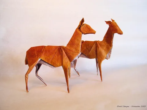 Vicuña