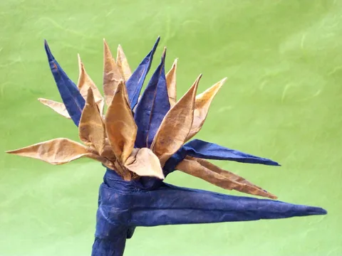 Bird of Paradise Flower