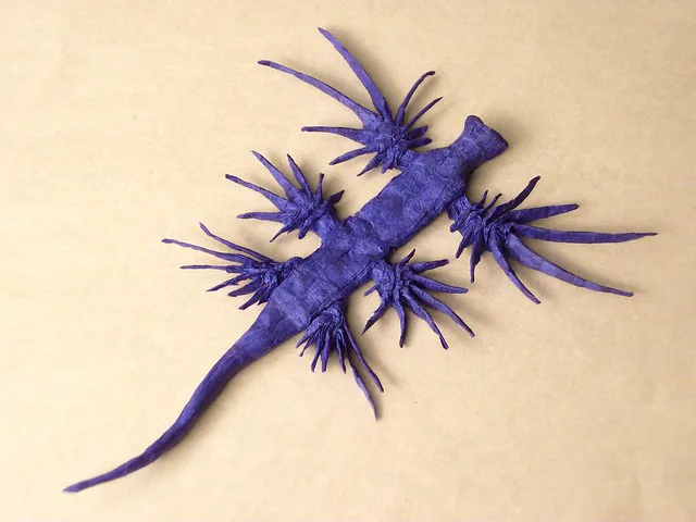 Blue Dragon Sea Slug