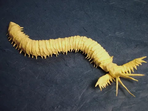 Bobbit Worm