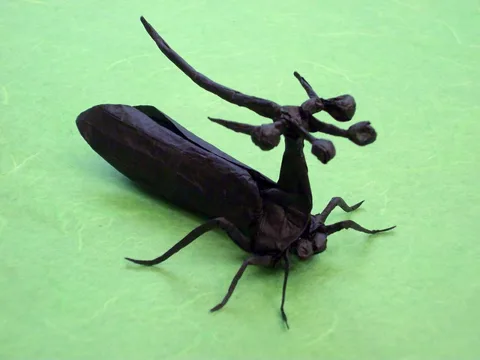 Brazilian Treehopper