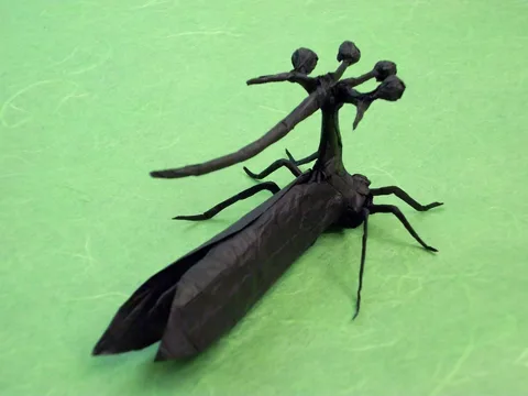 Brazilian Treehopper